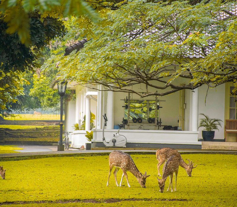 rafael-atantya-2affmL-TlU0-unsplash